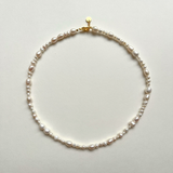 Black Days Special Offer 06