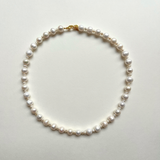 Black Days Special Offer 07