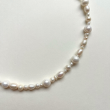 Black Days Special Offer 11