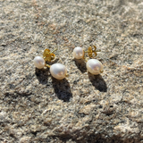 Olivea Perleørestikkere
