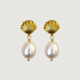 Mussel Pearl earrings